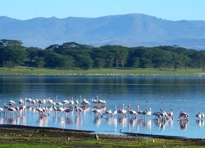 Lake Naivasha, Nakuru County, Kenya